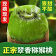 肴池 即食徐香猕猴桃净重5斤