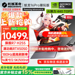 机械革命 蛟龙16 Pro RTX5060显卡 灰色 16GB+512GB 笔记本电脑