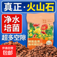 京喜 火山石颗粒火山岩铺底 水族鱼缸垫底砂 红色火山石 5斤