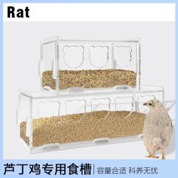 芦丁鸡亚克力熊头食盒自动喂食器喂水器芦丁鸡饮水器盒水槽投食器