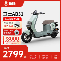 爱玛 卫士AB51 长续航电动自行车 TDR8106Z