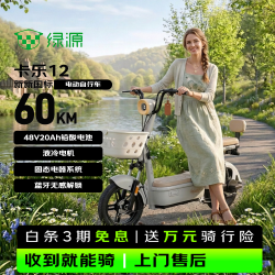绿源 卡乐12 新国标电动自行车 雅灰