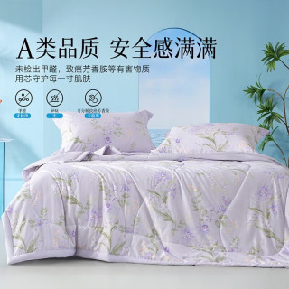 水星家纺 集团出品  百丽丝大豆纤维夏凉被 A类抗菌空调被子 可水洗薄被芯 [A类大豆云感夏被+可机洗] -紫 150cm*200cm