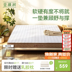 金橡树 天然椰棕床垫 1.2*1.9米 适中偏硬