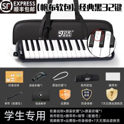 嘉德瑞 口风琴32键37键儿童小学生专用初学者成人专业演奏吹管乐器