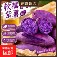 京东 今年现挖紫薯新鲜沙地番薯辅食广西红薯宝贝自种芋头红薯山药蔬菜 新鲜沙地紫薯 净重9.5斤