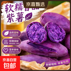 京东 今年现挖紫薯新鲜沙地番薯辅食广西红薯宝贝自种芋头红薯山药蔬菜 新鲜沙地紫薯 净重9.5斤