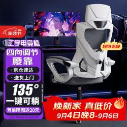 全品屋 电竞人体工学电脑椅 白框灰网