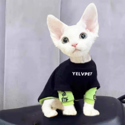 德国卷毛德文猫专用衣服保暖潮牌幼猫薄款秋季冬天公猫黑色秋装