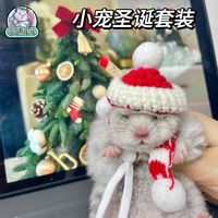 泡泡有球球 圣诞节春节装饰仓鼠帽子围巾金丝熊花枝保暖拍照道具