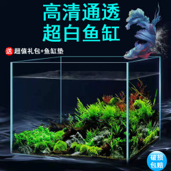 办公室家居中小型超白玻璃直角鱼缸长方形免换水造景缸桌面水族箱