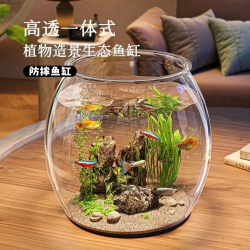 金鱼缸仿玻璃耐摔防摔客厅办公室中小型桌面生态缸水培花卉微景缸