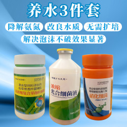 硝化细菌粉芽孢杆菌粉光合细菌液（三件套）降解氨氮水质稳定免换水