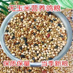鸽子粮无玉米鸽粮有玉米鸽子营养饲料鸟食信鸽观赏鸽料肉鸽成鸽粮