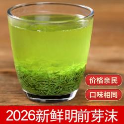 谭河信阳毛尖绿茶明前断芽纯芽尖沫碎新茶叶浓香型口粮茶500g鲜嫩