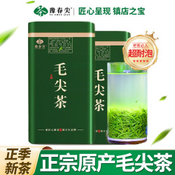 豫春 尖正宗新茶信阳手工毛尖茶高山采摘绿茶浓香型耐泡茶叶