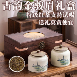金骏眉茶叶礼盒装特级浓香型黄芽新茶武夷山红茶过年送礼红茶好