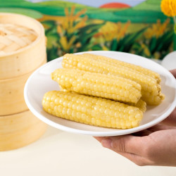 吃小点®香甜软糯 孩子爱吃 非转基因新鲜采摘