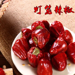 香辣灯笼椒新货微辣香辣辣椒优质灯笼椒干锅香锅火锅家用商用