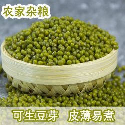 农家绿豆薄皮新鲜绿豆汤粥绿豆颗粒饱满肉多五谷杂粮粗粮食用营养
