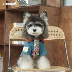 cheepet/趣派秋冬港式复古痞帅领带衬衫比熊雪纳瑞狗狗两腿外穿服