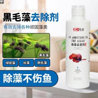鱼缸除藻剂黑毛藻水藻青苔快速清理褐藻不伤绿藻去苔剂