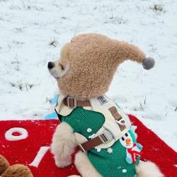 宠物狗狗帽子小型犬冬保暖冬泰迪头饰比熊猫咪可爱头套巫师帽毛绒