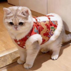 阿莫尔 猫咪衣服新年刺绣唐装拜年喜庆布偶金渐层英短宠物狗狗过年衣服