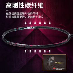 李宁 羽毛球拍雷霆小钢炮穿线单拍进攻型入门拍5AYPT307 5U-黑色（已拉线25磅）