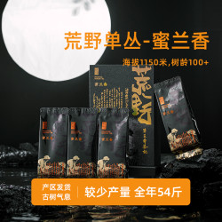 第王 凤凰单丛茶荒野蜜兰香 特级藏茶乌岽单丛茶潮州凤凰高山单丛茶叶