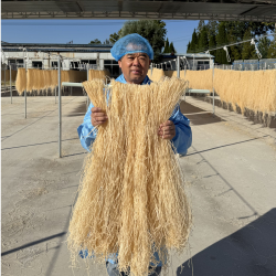 鲁珍 山药粉条0矾0脂0添加猪肉白菜炖粉条Q弹