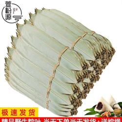 干粽叶新鲜粽叶干大号叶子送粽绳粽子叶烘干粽叶包邮端午节包粽子