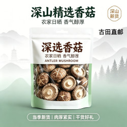 精选厚肉小香菇干货足干短柄炖菜非花菇煲汤煲粥配汤料炖排骨营养