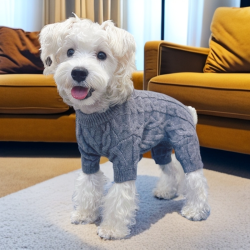 宠物四脚保暖衣服雪纳瑞比熊泰迪柯基柴犬秋冬季打底毛衣狗狗衣服
