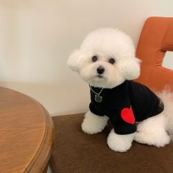 宠物秋冬加绒爱心卫衣加厚保暖狗狗猫咪衣服小型犬泰迪比熊约克夏