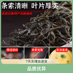 云南凤庆二百年立达古树头春纯手工普洱生茶花果香生普优品