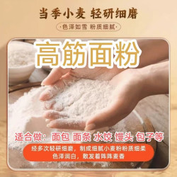 焙乖乖 高筋小麦面包粉适合做美味面包面条水饺馒头早餐营养高筋面包粉