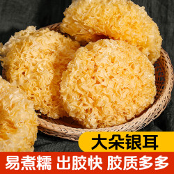 寨吗 菌菇小二银耳干货250克新鲜银耳白木耳古田不硫熏雪耳