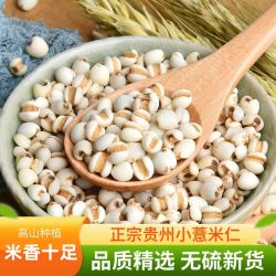 贵州薏米小薏仁米薏米仁中药材市场批发农家自产精选薏苡仁新鲜