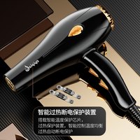 赛琦雅 SAIQIYA/赛琦雅家用大功率理发店电吹风学生冷热风吹风筒离子