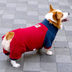 圣诞冬季新年包肚保暖加绒柯基柴犬边牧加厚外出防寒四脚狗狗衣服