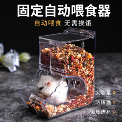 仓鼠金丝熊自动喂食器可固定食盒食盆防翻刺猬松鼠用品投喂饲料碗