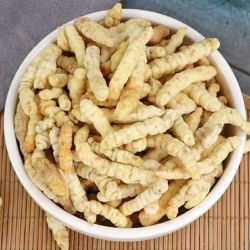 GY地蚕官方正品正品干货地蚕土冬虫草白虫草50克非党参