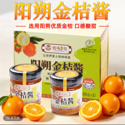 桂城荣记 阳朔金桔酱210g 金桔蛋糕咖啡蜜酱广西特产