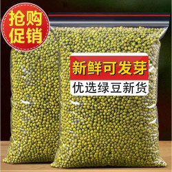 新货生绿豆正宗绿豆粥煲汤料发芽新鲜营养健康颗粒饱满消暑煮粥