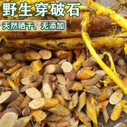 小师妹精选穿破石煲汤