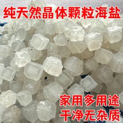 俞兆林 天然海盐粗盐热敷大粒盐颗粒大青盐热敷包颈肩关节锅炒热敷家用