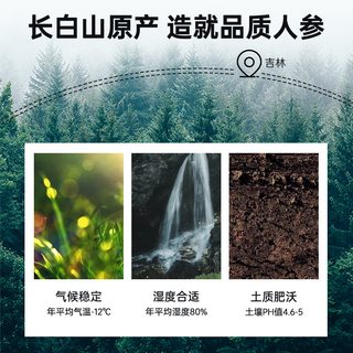 雷允上 西洋参片 长白山超大片 100g礼盒装