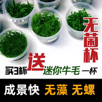 鱼缸水草植物造景无菌杯迷你牛毛矮日本珍珠趴地天胡挖耳椒草新手