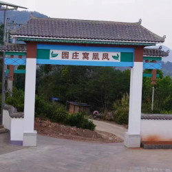 凤凰山墨江 散 生茶 正品古树云南普洱茶春  纯料正品甘甜淳厚
